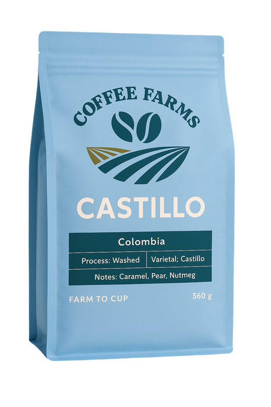 Castillo