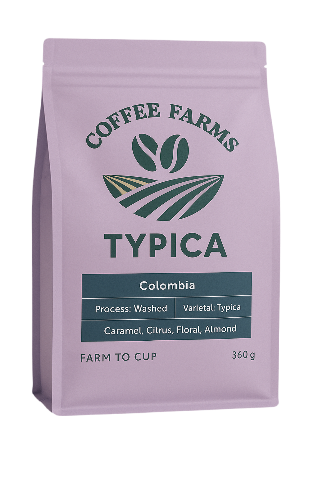 Typica