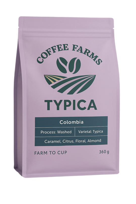Typica